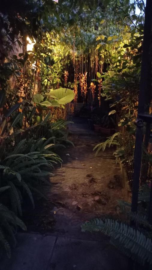 Casa Quetzalli, La Recoleccion アンティグア・グアテマラ エクステリア 写真