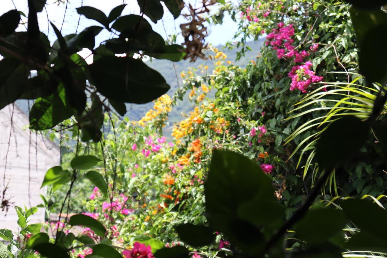 Casa Quetzalli, La Recoleccion アンティグア・グアテマラ エクステリア 写真